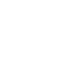 TJ Maxx