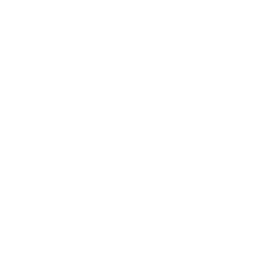 ann taylor factory shoes