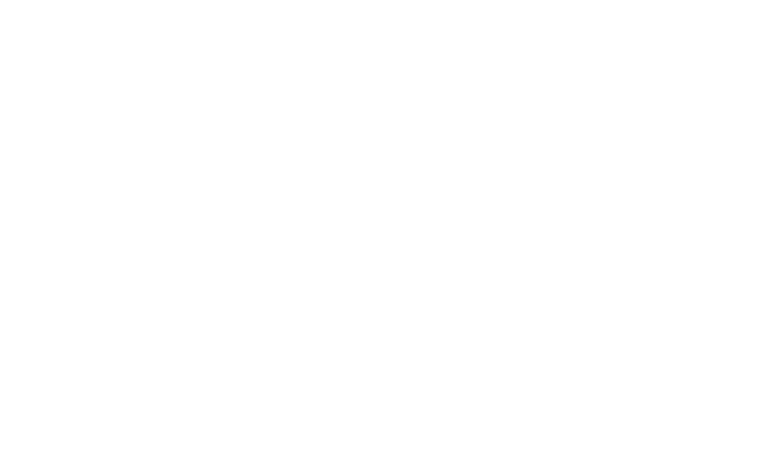 Zales Outlet