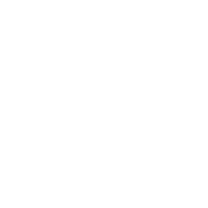 El Toro Loco, Authentic Mexican