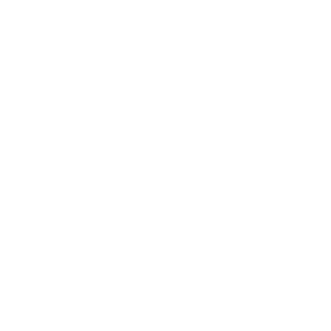 La Fuente Mexican Street Food