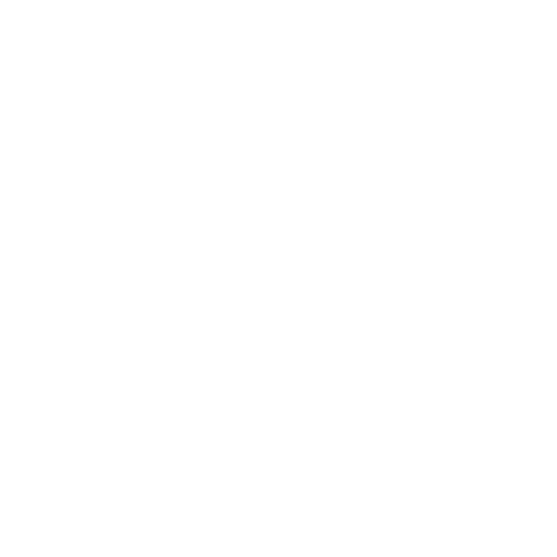 Your Pets Vet