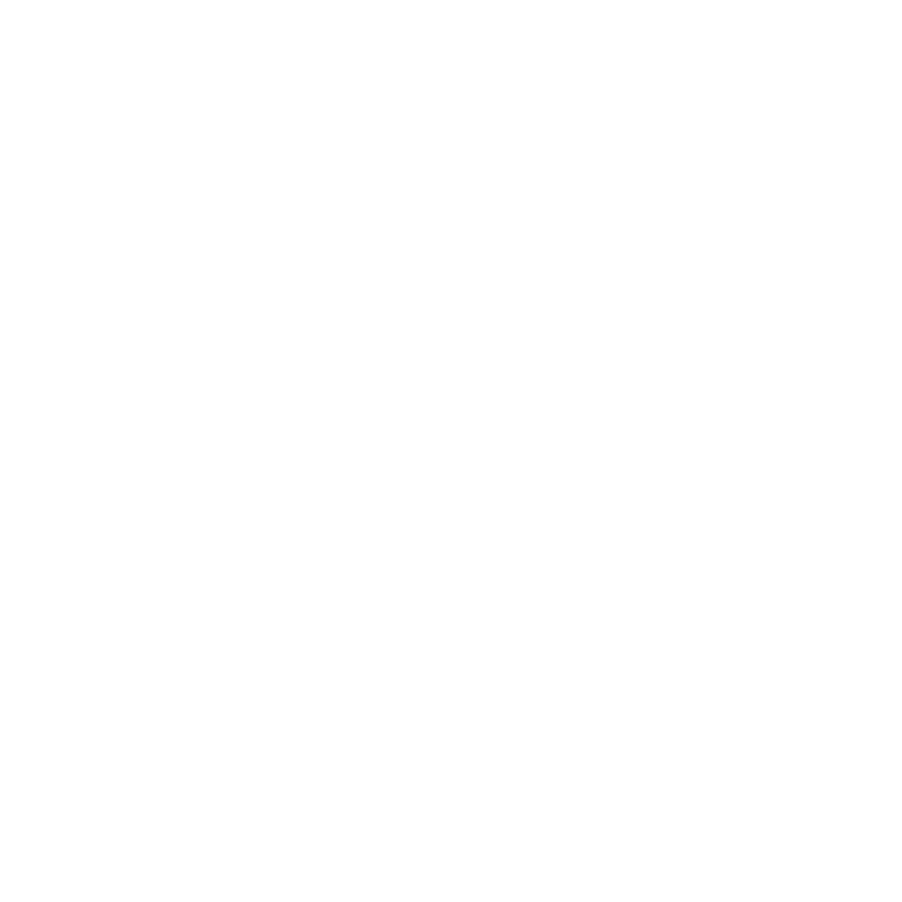 rue21 logo