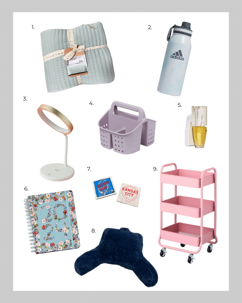 Sweater and Lingerie Wash Bag - Is a dorm room supplies essential