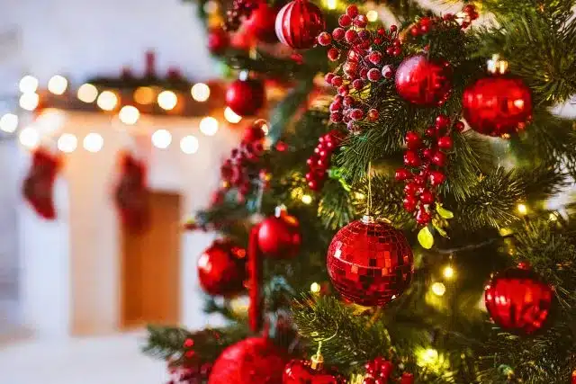 Deck the Halls: Holiday Decorating Ideas