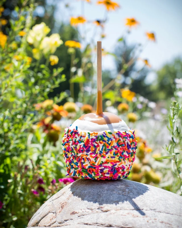 Spring’s in the air—so are sprinkles 🍏🐻 Sweeten up with @rmcflegends.kc vibes!⁠
⁠
 ( #📷 @rmcflegends.kc )
