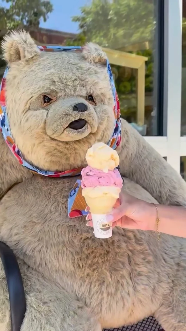 It’s National Ice Cream Day, and we’re celebrating the only way we know how: scoops, swirls, and sweet treats from @yogurtinilegends, @rmcflegends.kc, @topsyspopcorn, or @culvers. 🍦🎉 Go ahead—treat yourself (maybe more than once).⁠
⁠
#nationalicecreammonth #treatyourself #scoopsandswirls #sweettoothseason #legendskc #dessertgoals #icecreamdreams #snackattack #summertreats #morethanonetreat⁠